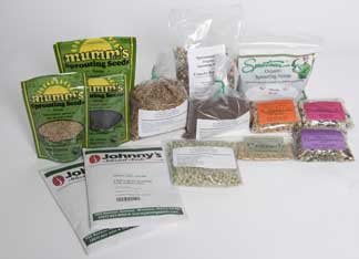 
Many different kinds of seeds can be sprouted easily at home.
